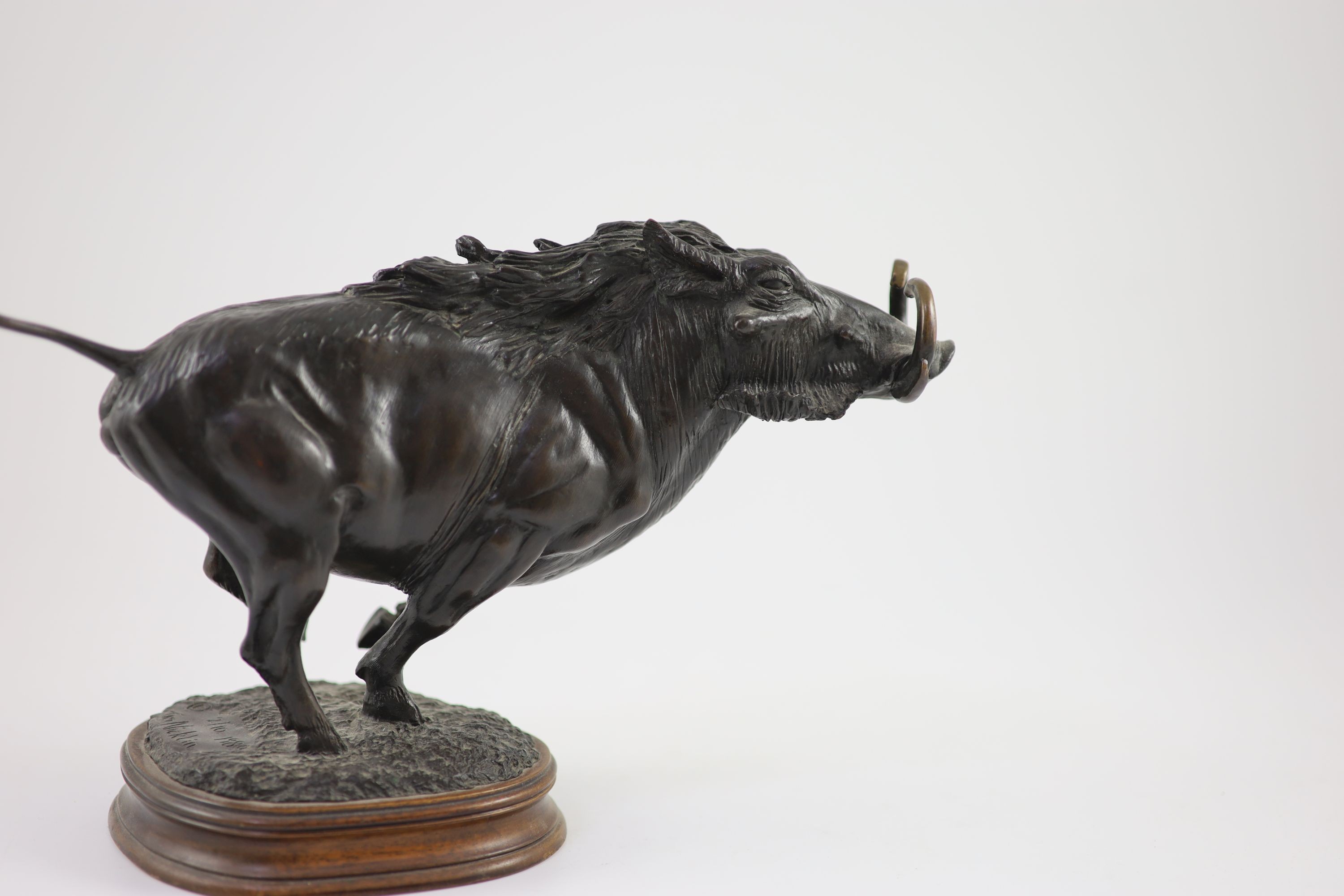 Tim Nicklin. A bronze model of a running warthog length 38cm height 20cm